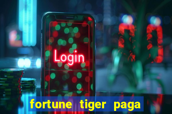 fortune tiger paga de madrugada